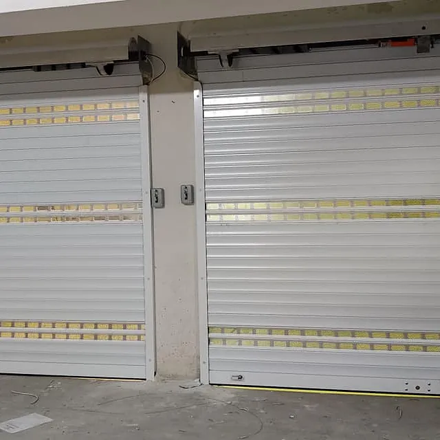 Garage Door